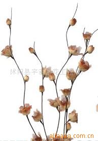 供應(yīng)葉脈花、龍柳、三叉木、龍桑、蘆葦專業(yè)指南